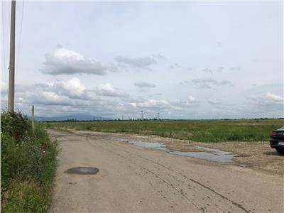 Loturi de vanzare in Focsani  Livada  intravilan