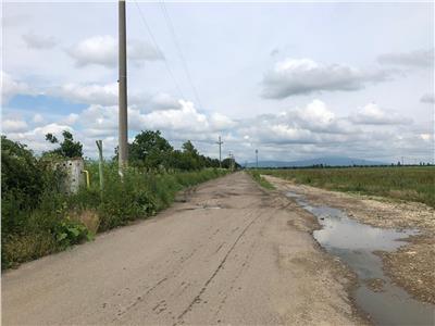 Loturi de vanzare in Focsani  Livada  intravilan