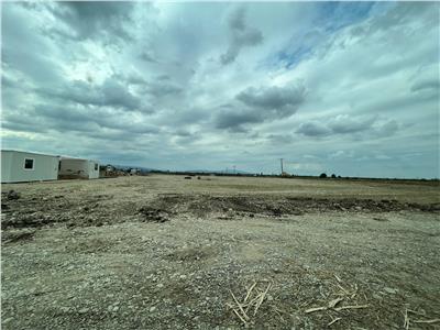 Loturi de vanzare in Focsani  Livada  intravilan