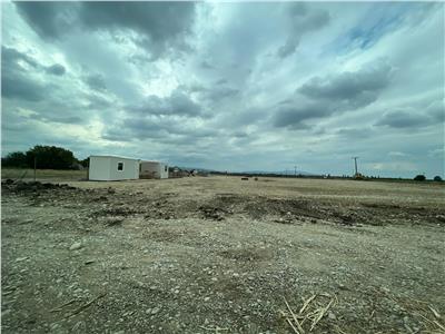 Loturi de vanzare in Focsani  Livada  intravilan