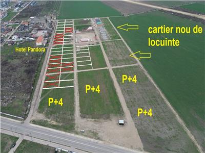 Loturi de vanzare in Focsani - Livada - intravilan