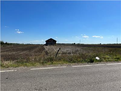 Casa P+M la rosu de vanzare in Mircestii Noi
