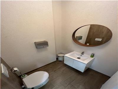 Spatiu Comercial Ultracentral TeatruTribunal P uniri