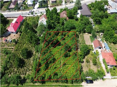 Teren 1320mp intravilan de vanzare in Tamboiesti  Primarie