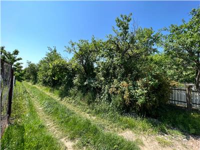 Teren 1320mp intravilan de vanzare in Tamboiesti  Primarie