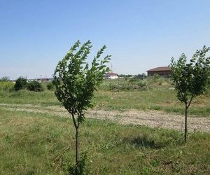 Teren intravilan Rezidential 15300mp zona Obor  str Tisa