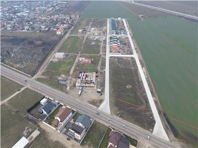 Loturi de vanzare in Focsani  Livada  intravilan