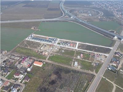 Loturi de vanzare in Focsani  Livada  intravilan