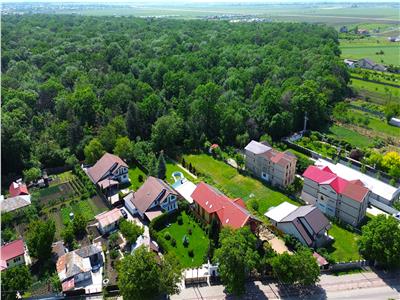 Vilă spectaculoasă la poalele Crângului Petresti