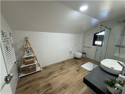 Casa P+M partial mobilata de vanzare in Campineanca (toate utilitatile)