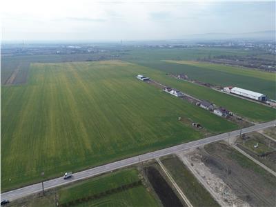 Teren intravilan 5.233 mp, D=16 ml, STRADA PRINCIPALA,zona ONASIS